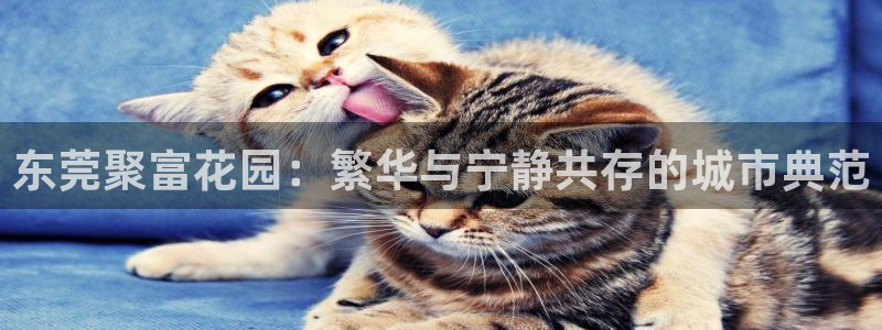 东莞聚富花园：繁华与宁静共存的城市典范