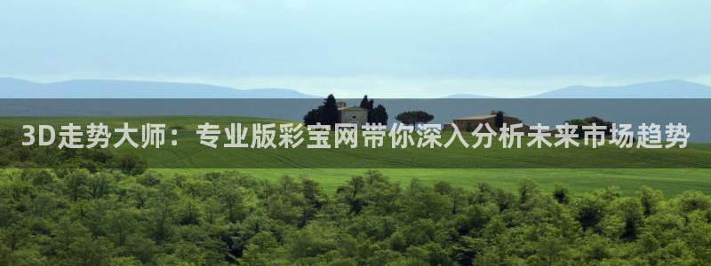 彩虹多多电子有限公司：3D走势大师：专业版彩宝网带你深入分析未来市场趋势