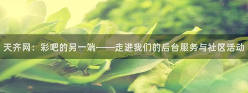彩虹多多集团官网：天齐网：彩吧的另一端——走进我们的后台服务与社区活动